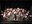 27° Concerto di Natale della Banda di Russi