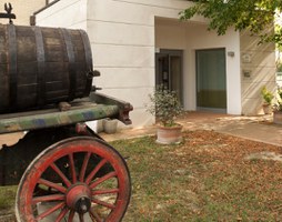 Eventi estivi al Museo della Vita Contadina di San Pancrazio