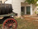 Eventi estivi al Museo della Vita Contadina di San Pancrazio
