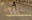 Fira 2022: i giochi