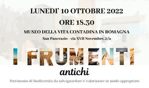 I frumenti antichi: patrimonio di biodiversità da salvaguardare e valorizzare in modo appropriato
