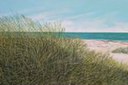 Verde Romagna: in mostra "Il Paesaggio" di Valter Guidi