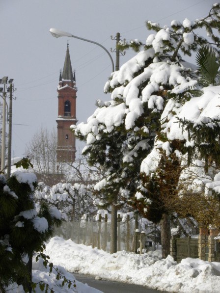 Campanile_imagelarge.jpg