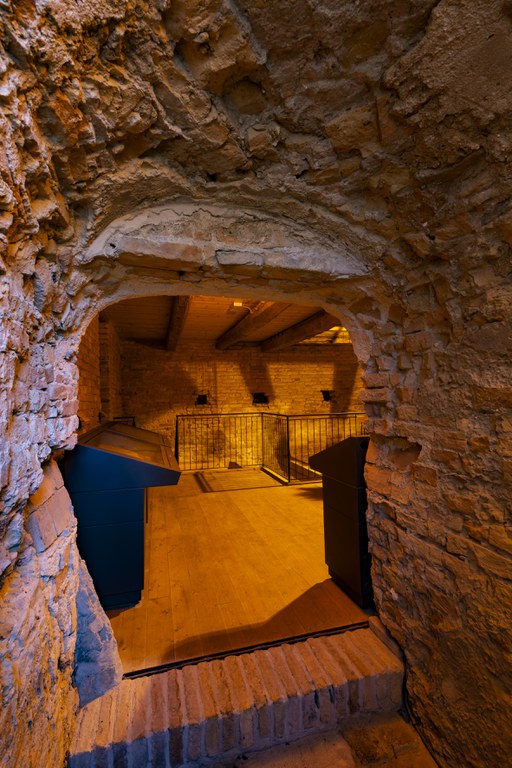 Museo civico