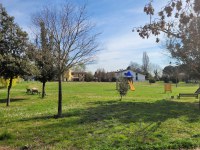 A Russi iniziati i lavori di sfalcio del verde pubblico