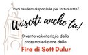 Diventa volontario/a della Fira di Sett Dulur!