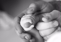 Le iniziative per genitori, bambini e ragazzi organizzate dal Centro per le famiglie di Ravenna, Cervia e Russi