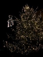 Il Natale in uno scatto: ecco i vincitori del contest fotografico a tema natalizio