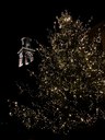 Il Natale in uno scatto: ecco i vincitori del contest fotografico a tema natalizio