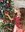 Il Natale in uno scatto: ecco i vincitori del contest fotografico a tema natalizio