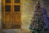 Il Natale in uno scatto: ecco i vincitori del contest fotografico a tema natalizio