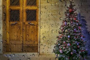 Il Natale in uno scatto: ecco i vincitori del contest fotografico a tema natalizio