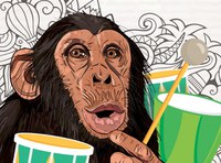 Pronti per la II^ edizione del Festival della Curiosità?