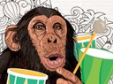 Pronti per la II^ edizione del Festival della Curiosità?