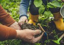 Progetto "Un albero per bimbo - Cresciamo insieme"